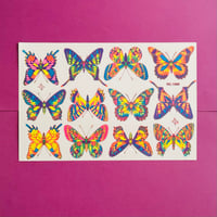 蝶々⑨ 薄いネオン シール 大 BUTTERFLY STICKER