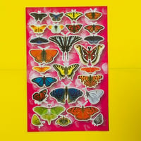 蝶々 ⑩ シール 大 BUTTERFLY STICKER