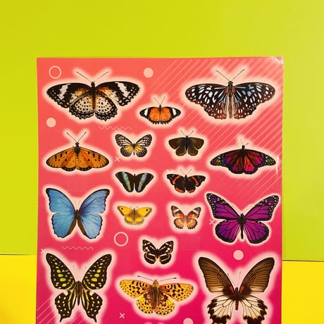 蝶々② シール 大 BUTTERFLY STICKER