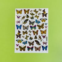 蝶々 キラキラ シール (14)  BUTTERFLY STICKER