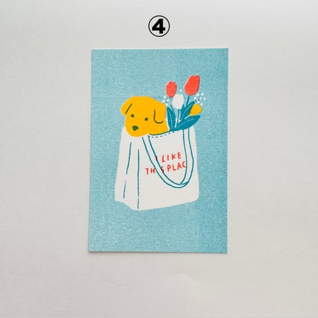イラスト ポストカード ILLUSTRATION POSTCARD