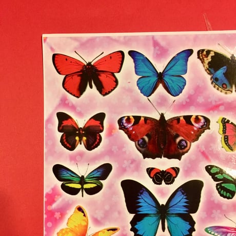 蝶々 シール 大 BUTTERFLY STICKER