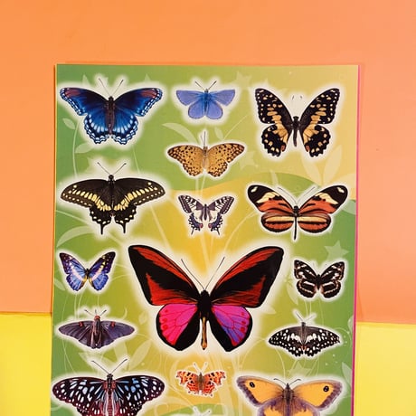 蝶々④ シール 大 BUTTERFLY STICKER