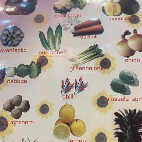 野菜 シール 大 ② VEGETABLE STICKER