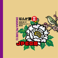イラスト素材集: DG13 はんが調イラスト-2 JPEGカラー版