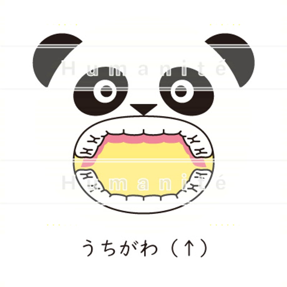 6487f540fafd8b002adf64f6