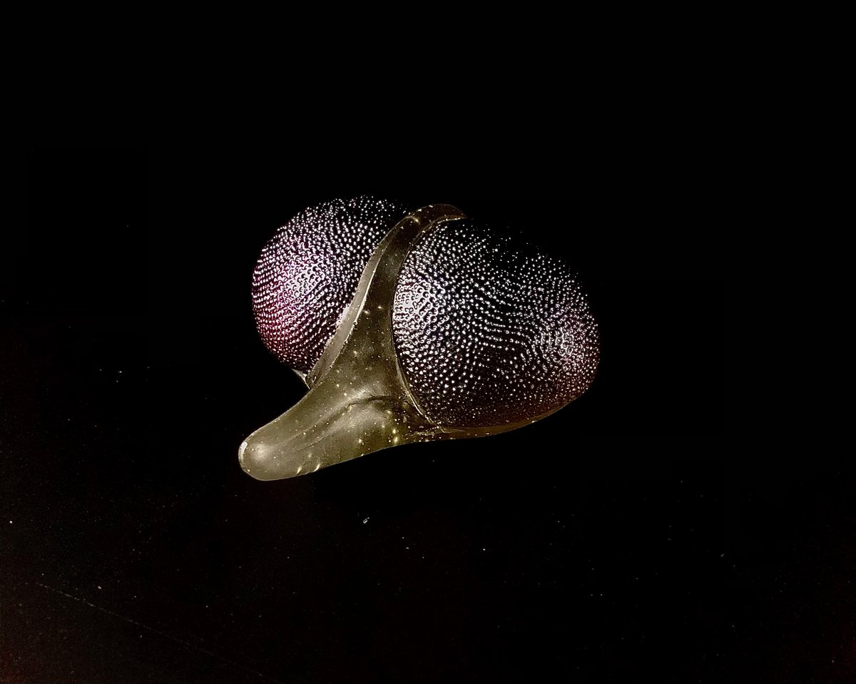 2022年9月30日〜10月10日 3人展 芝崎由華・安田知司・蔦本大樹 | Art