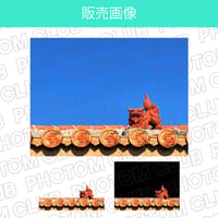 シーサーの写真画像