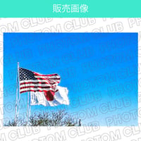 日本とアメリカの国旗のイラスト風写真画像素材