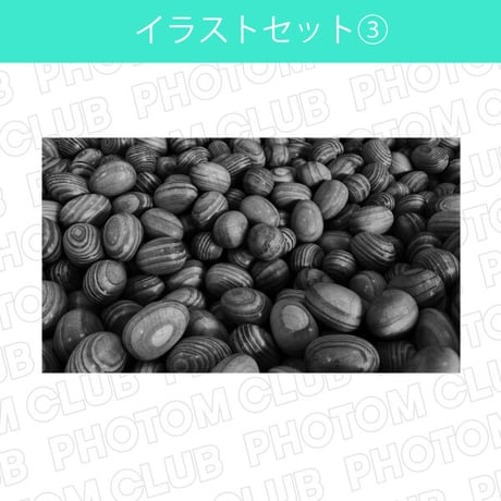 たくさんの木製たまごの写真画像素材(4枚セット)