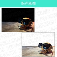 サングラスをかけたスカルの写真画像(2パターン)
