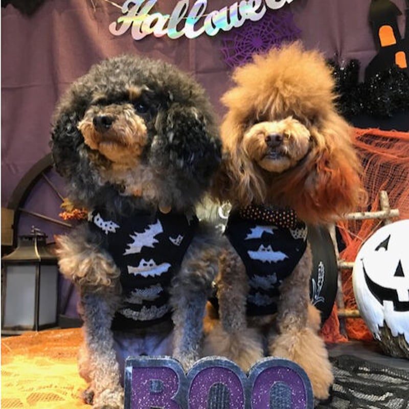 【☆puppy☆様】パーカー SSZX000068610_SHOP_jpg.jpg