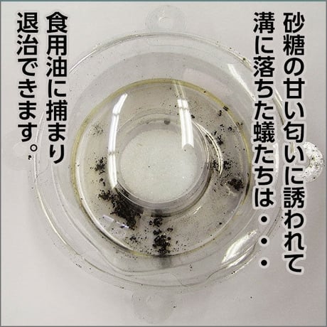 蟻盗り物語　お徳用3個入り