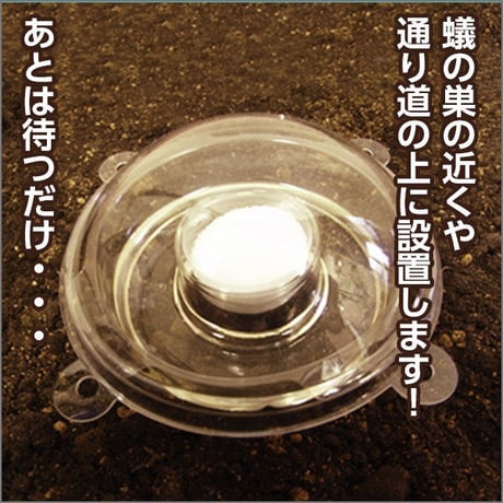 蟻盗り物語　お徳用3個入り