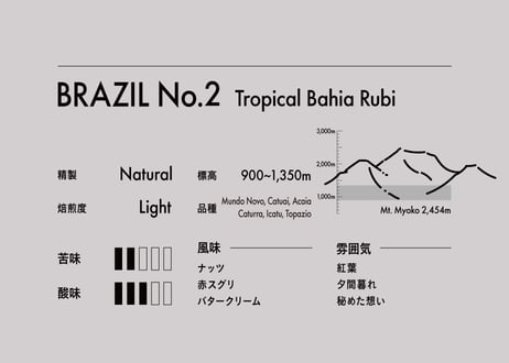 【コーヒー豆】Brazil No.2-Tropical Bahia Rubi・浅煎り