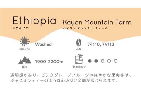 〈コーヒー豆５００g〉エチオピア・カイヨンマウンテンファーム・ウォッシュト・浅煎り