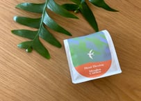 【コーヒー豆】🌿初夏限定”Blend Blessing“深煎り