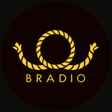 BRADIO OFFICIAL GOODS STORE