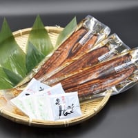 鹿児島県大隅産うなぎ蒲焼３尾セット【送料無料】
