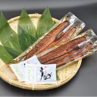 鹿児島県大隅産うなぎ蒲焼2尾セット【送料無料】