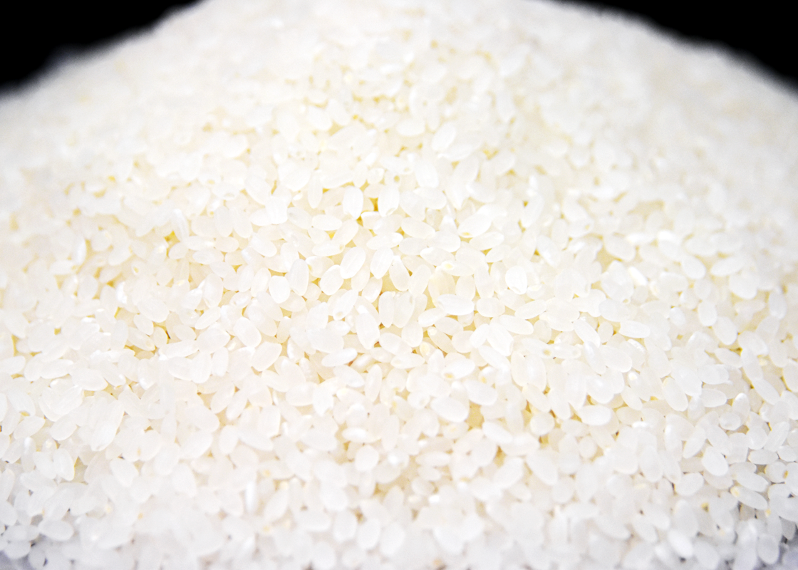 お買い得】おいでまい・新米20kg【讃岐産】精米・玄米の選択可 