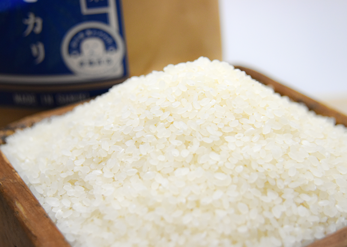 お買い得】特別栽培米コシヒカリ・新米20kg【讃岐産】精米・玄米の選択