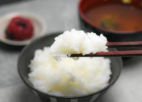 【お買い得】特別栽培米コシヒカリ・新米10kg【讃岐産】精米・玄米の選択可