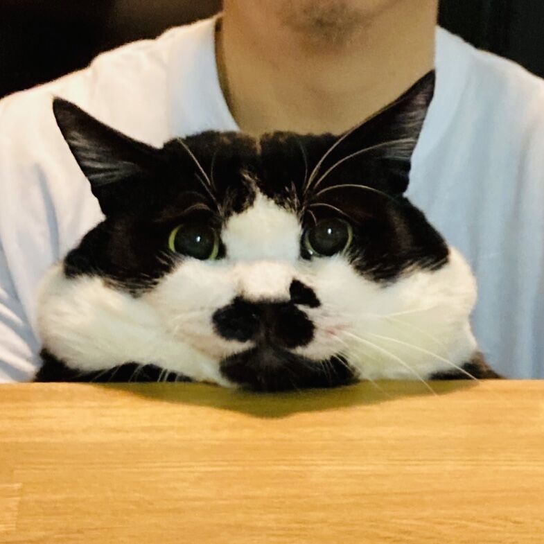 fit=scale-down,w=1200