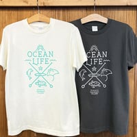 OCEAN LIFE