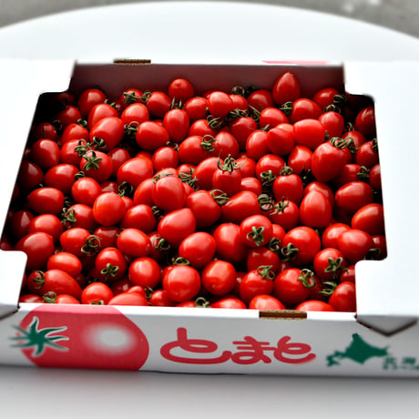 トマトベリー１箱（約3kg）　発送は６月以降になります