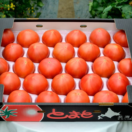 こだわりフルーツトマト 【特選】（約2.5~3kg）【１〜３箱ご注文はこちら！】　発送は6月以降になります