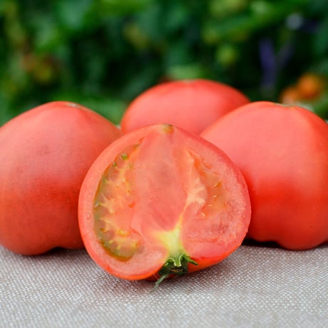 【4～5箱ご注文はこちら！】こだわりフルーツトマト（約2.5~3kg）