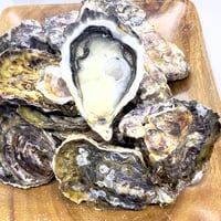 的矢シングルオイスター（三重）