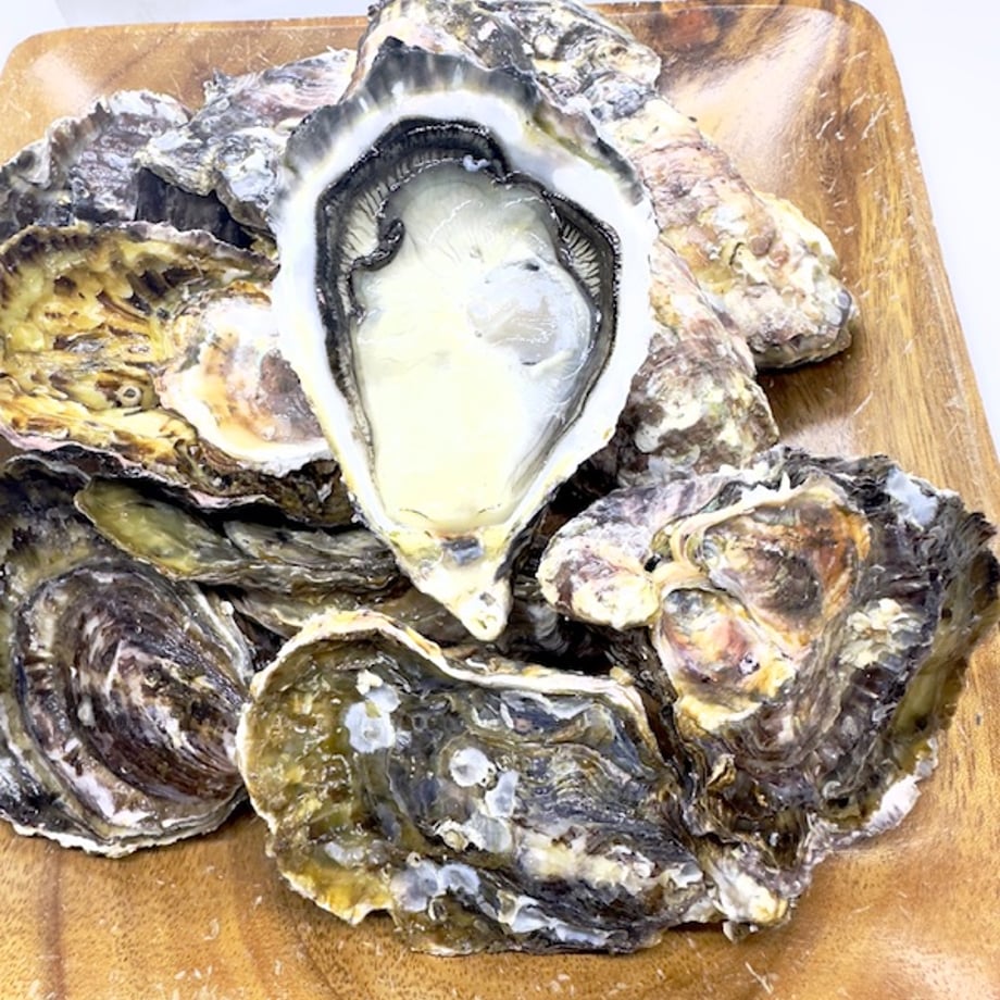 66dfc85db71e150fb8417a9c