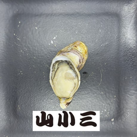 喜多嬉かき「Platinum」 S（岡山）