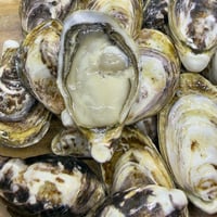 喜多嬉かき「Platinum」 S（岡山）