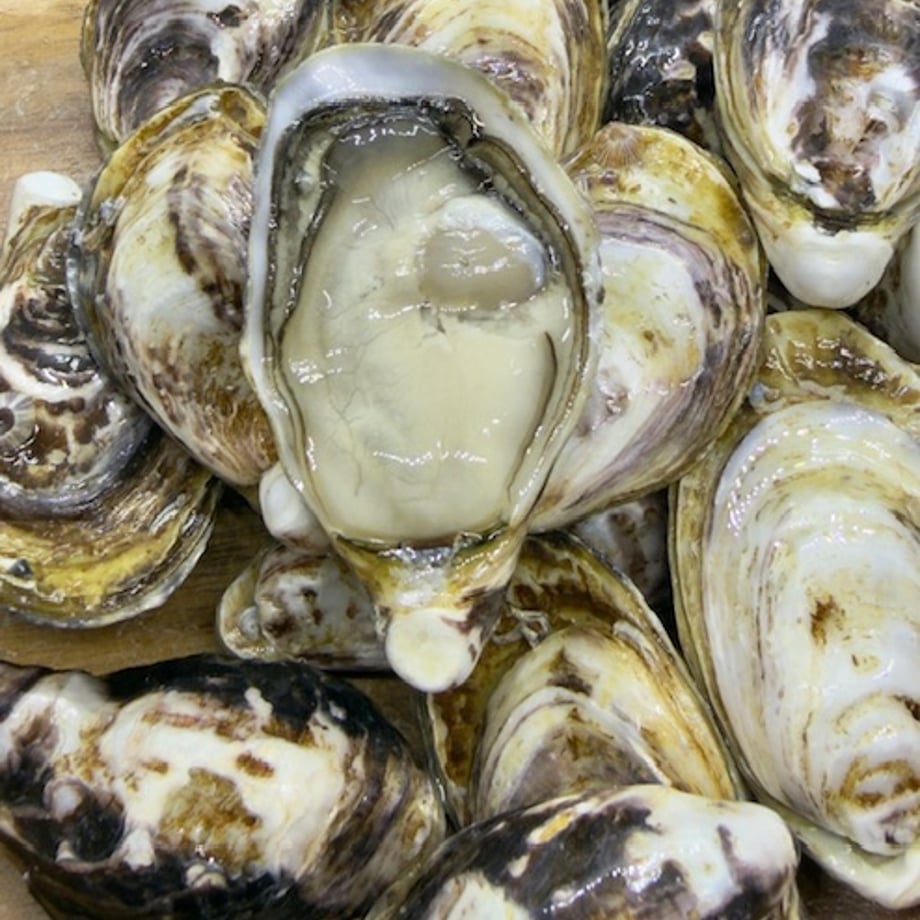 68e46d2ebfb5fa416ac09b91