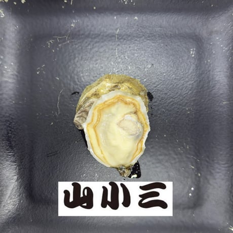 あまべ牡蠣 （大分）