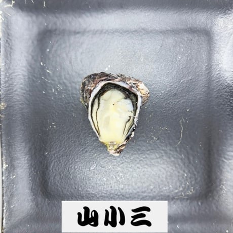 女川オイスターファーム「波」 3L （宮城）