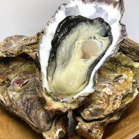 知内 L（北海道）
