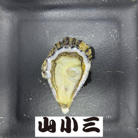 大入島オイスター SS（大分）