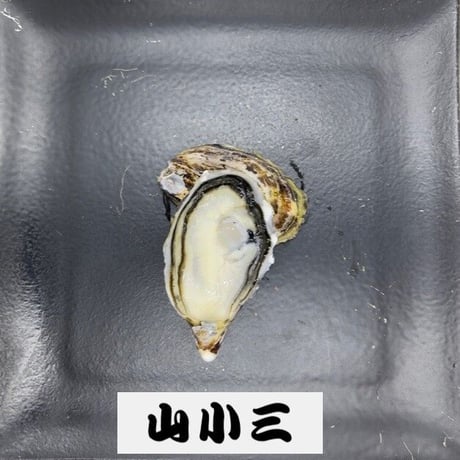 赤穂クリスタルブラン M（兵庫）