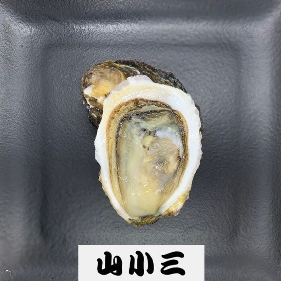 5f2ca83c223ead03814dcae1