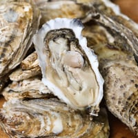 仙鳳趾S(北海道)