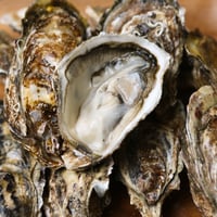 マルえもんM（北海道）