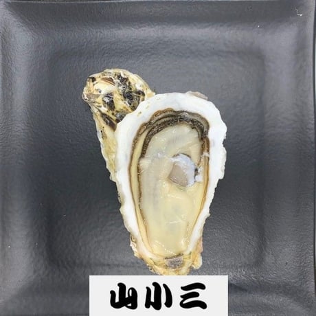 知内 L（北海道）