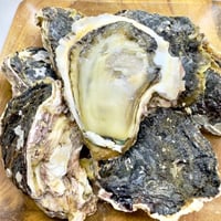 豊前海岩牡蠣「ひなた」S（福岡）