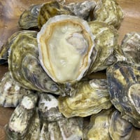 あまべ牡蠣 （大分）