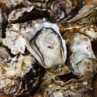 的矢かき（三重）