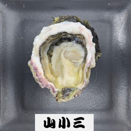隠岐ひかり S 岩牡蠣（島根）